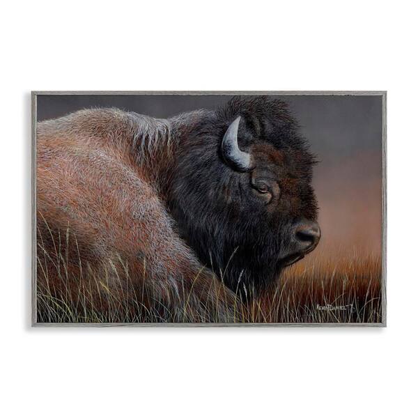 Stupell Industries Detailed Bison Close Up by Kevin Daniel