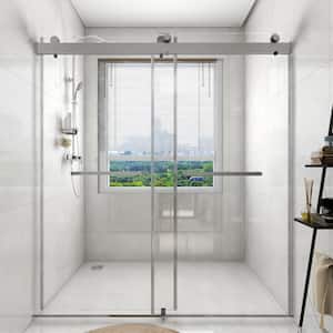 60 in. W x 76 in. H Double Sliding Frameless Shower Door in Stainless Steel Finish with Clear Glass