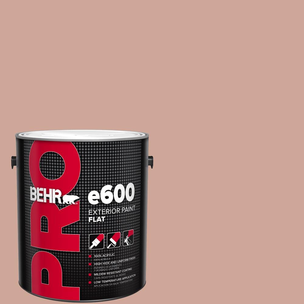 1 gal. #PPU2-08 Pink Ginger Flat Paint price history on PriceWatchPro