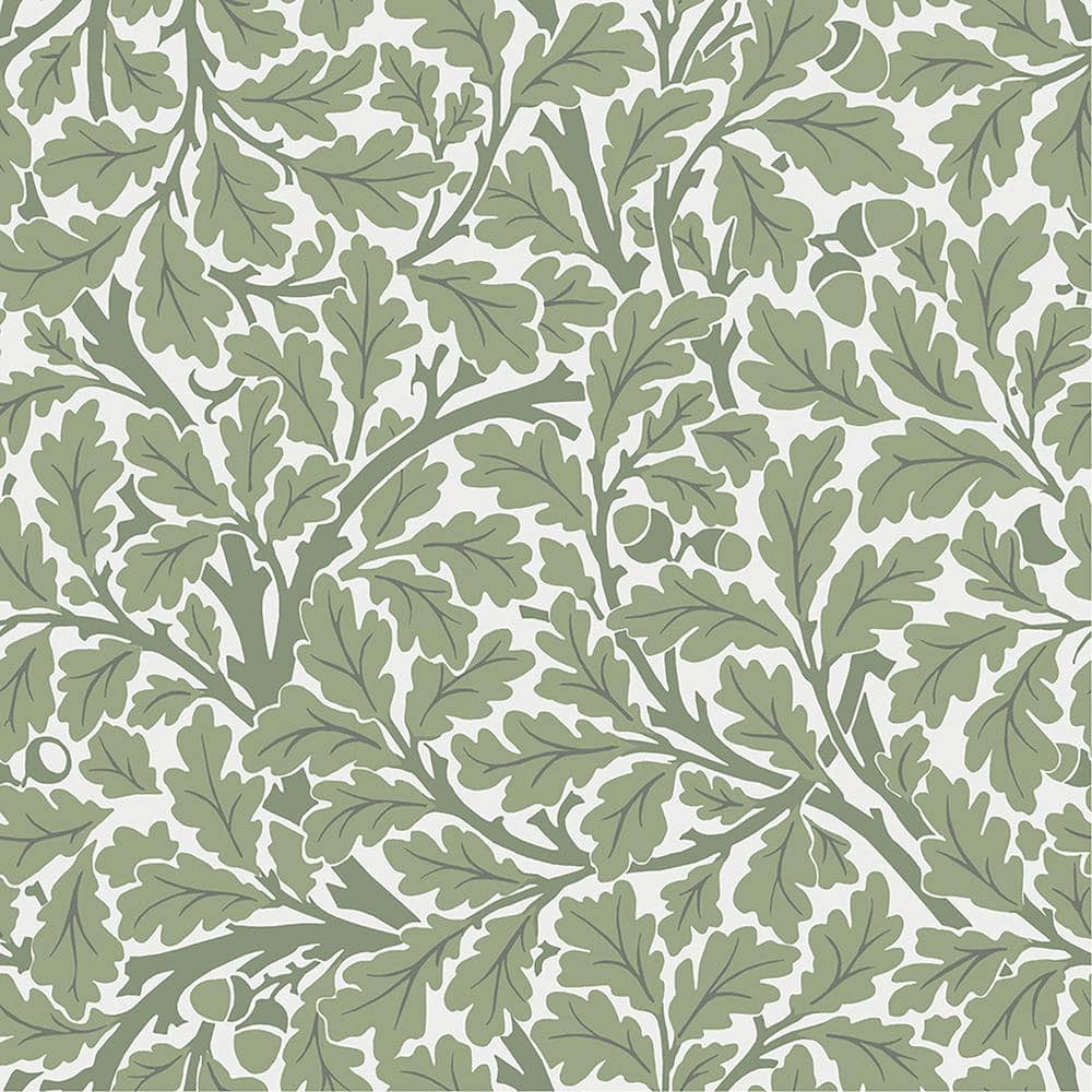 A-Street Prints Green Oak Tree Leaf Non-Pasted Non Woven Wallpaper ...