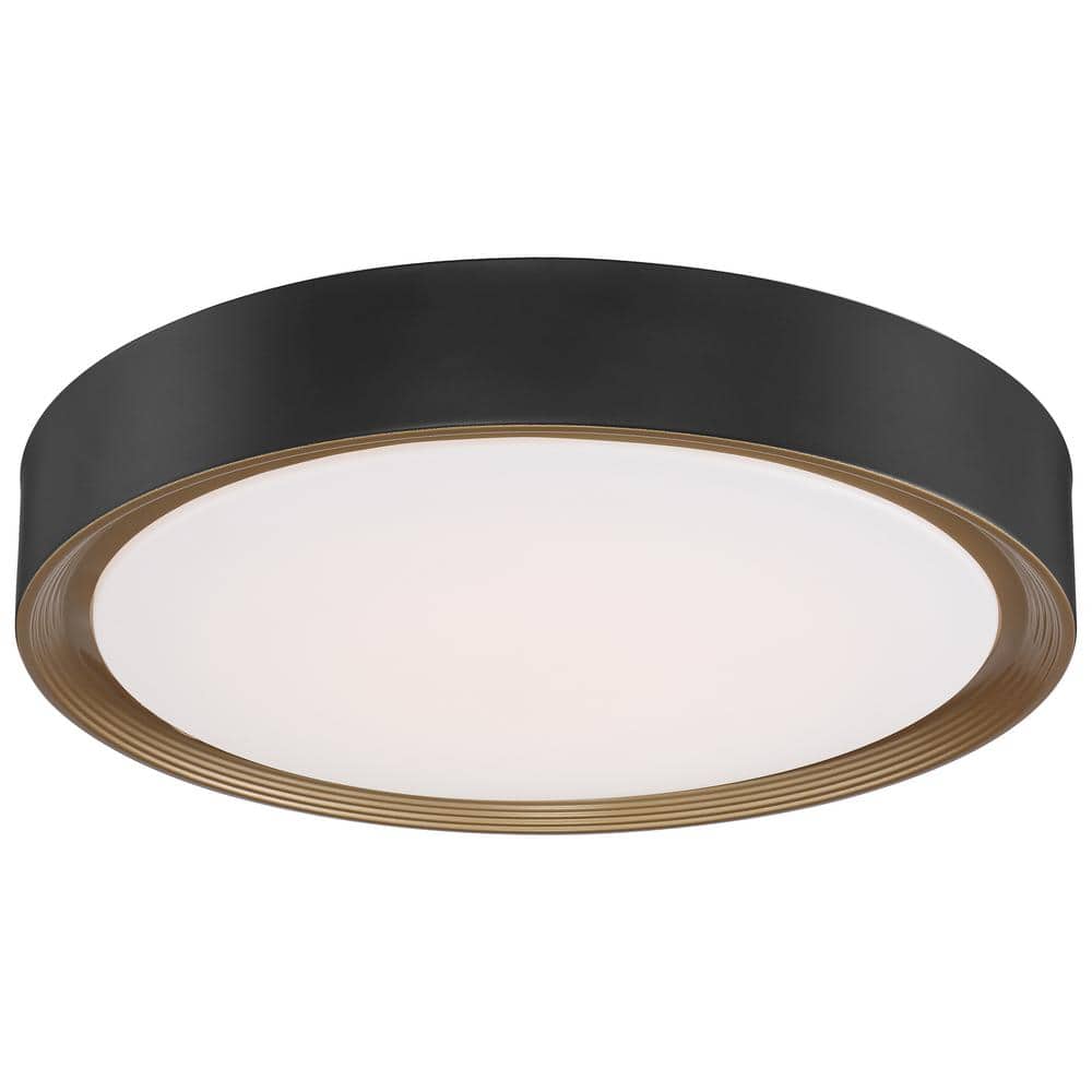 Malaga Matte Black 20" LED Flush Mount Light