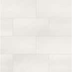 Aria Ice 12 in. x 24 in. Polished Porcelain Floor and Wall Tile (16 sq. ft. / case)