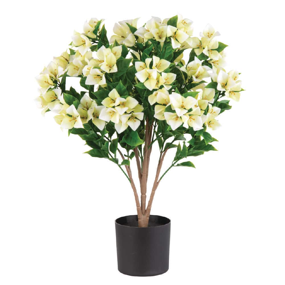 Artificial 25 in. Indoor and Outdoor Cream Bougainvilea price history on PriceWatchPro