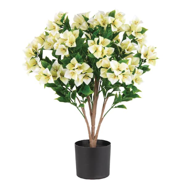 Artificial 25 in. Indoor and Outdoor Cream Bougainvilea