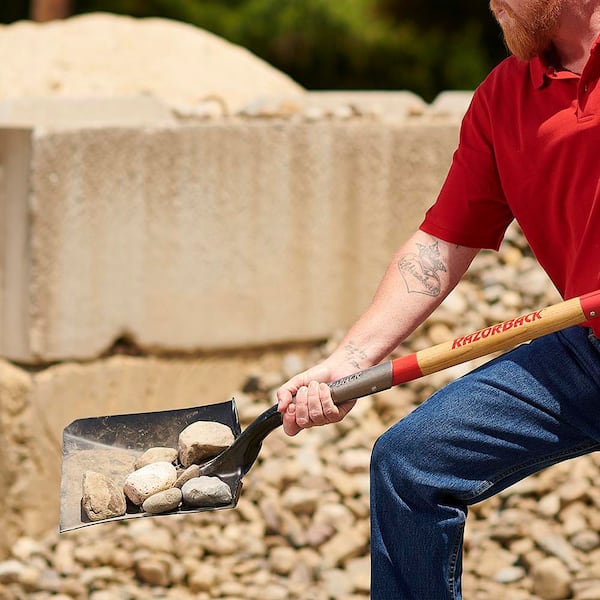 Anvil 23.5 in. Wood D-Handle Square Point Shovel 2594300 - The