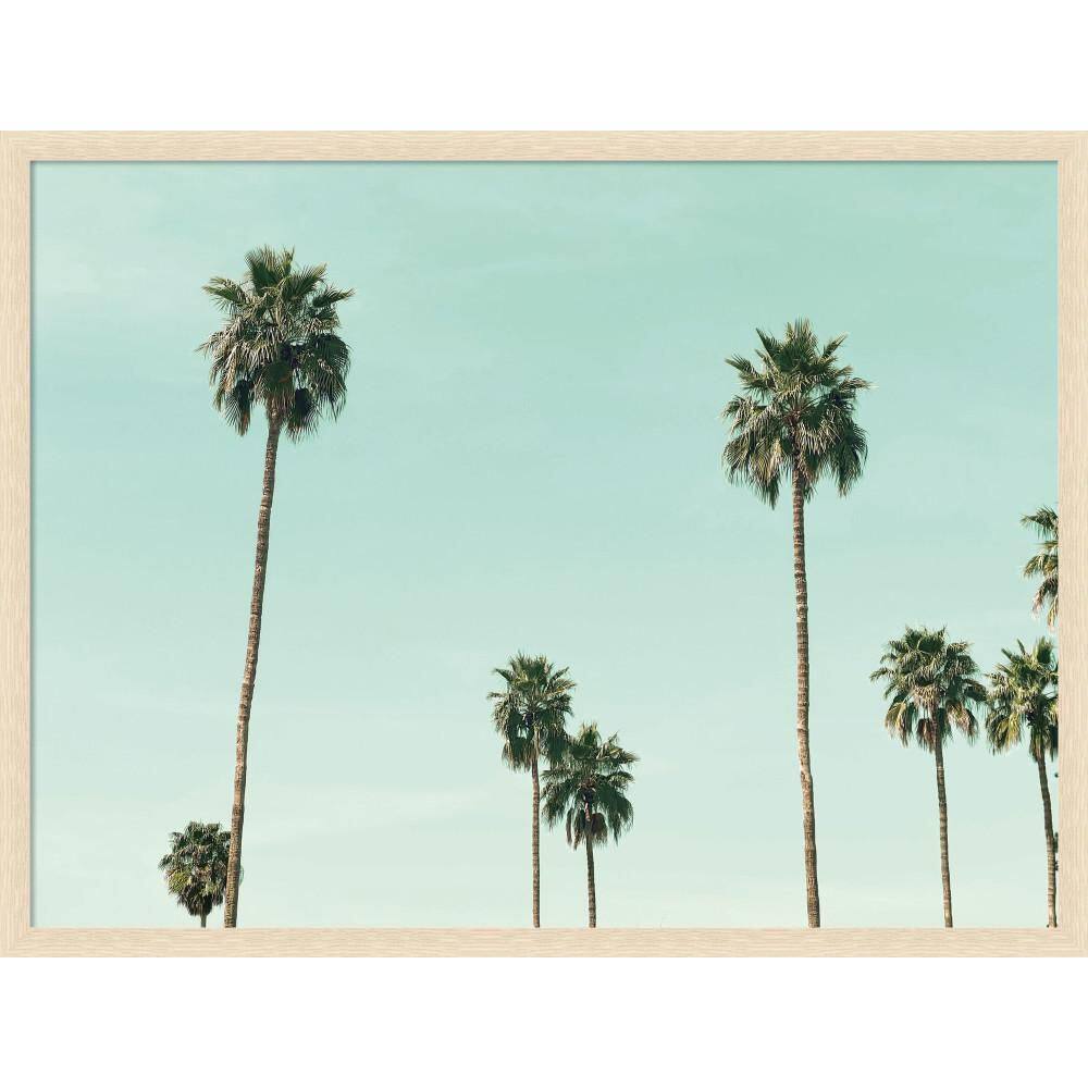 "Woodgrain ""Palm Trees"" by Emiko and Mark Franzen F2 Images Beach Framed Canvas Art Print 29 in. x 38 in." price history on PriceWatchPro