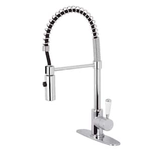Paris Single-Handle Pull-Down Sprayer Kitchen Faucet in Polished Chrome