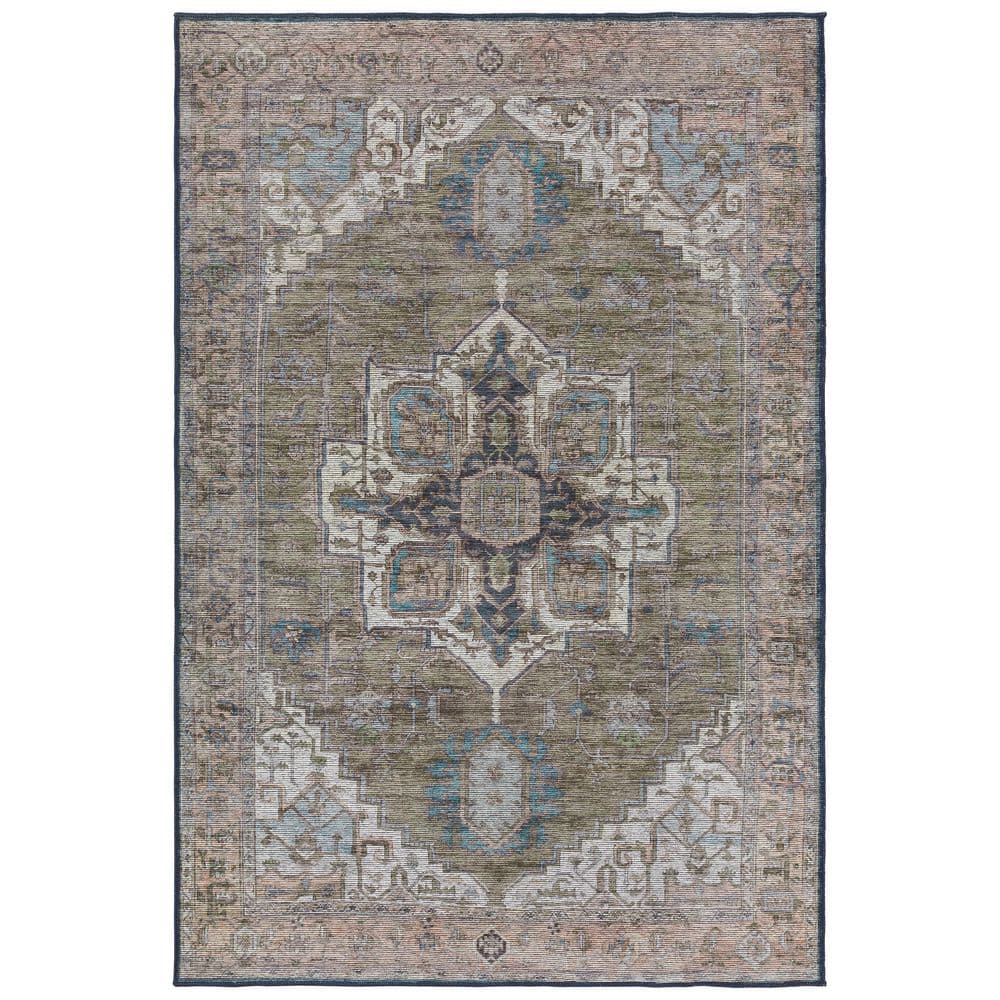 Chaplin Green/Blue 3 ft. 11 in. x 6 ft. Medallion Indoor Area Rug price history on PriceWatchPro