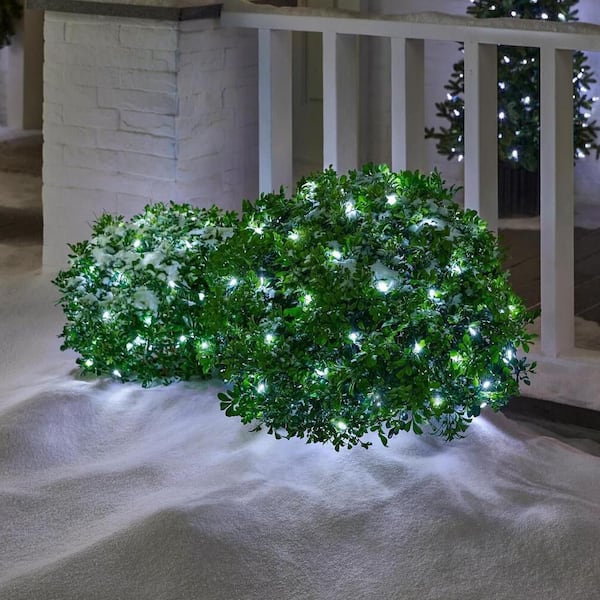 150 Count Cool White Mini LED Net Lights