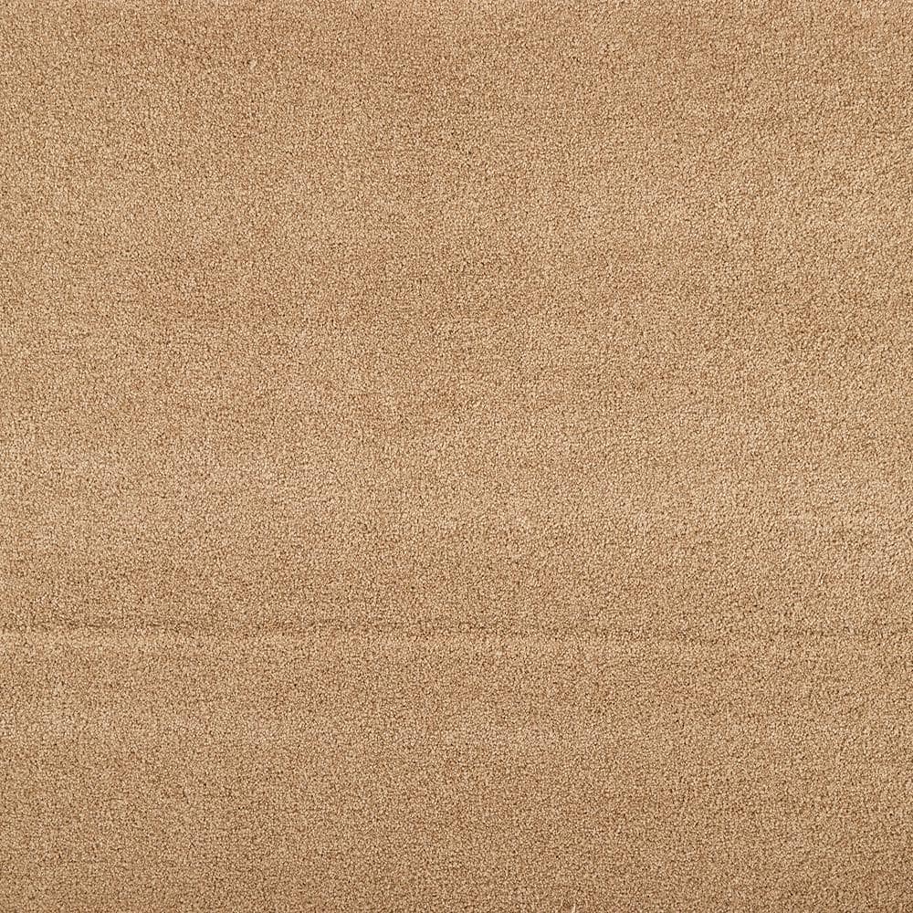 8 in. x 8 in. Texture Carpet Sample - Hainsridge -Color Buff price history on PriceWatchPro