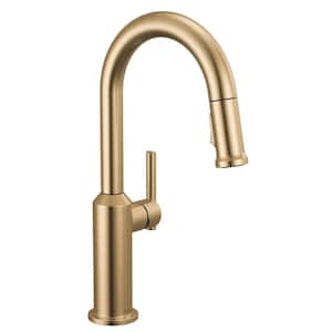 Delta Cordova Gold Champagne Bronze Single Handle Bar Faucet 9885