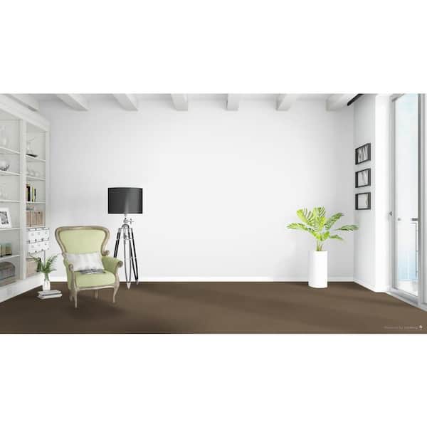 Jack Bay I - Playground - Brown 48 oz. SD Polyester Texture Installed Carpet