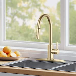 Single Handle Pull Down Sprayer Kitchen Faucet with Removable Deck Plate Swivel Spout in Gold