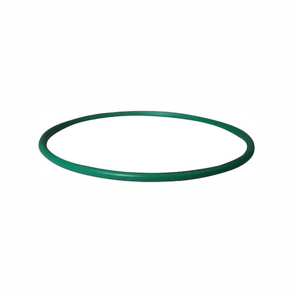 Fuel Pump Tank Seal