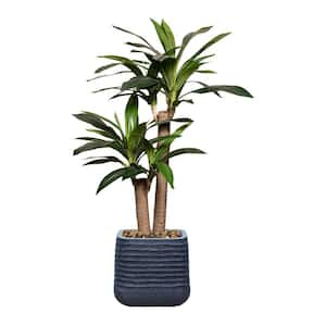 Vintage Home Artificial Faux Corn Plant 52 in. High Fake Plant Real Touch with Stylish Plastic Planter