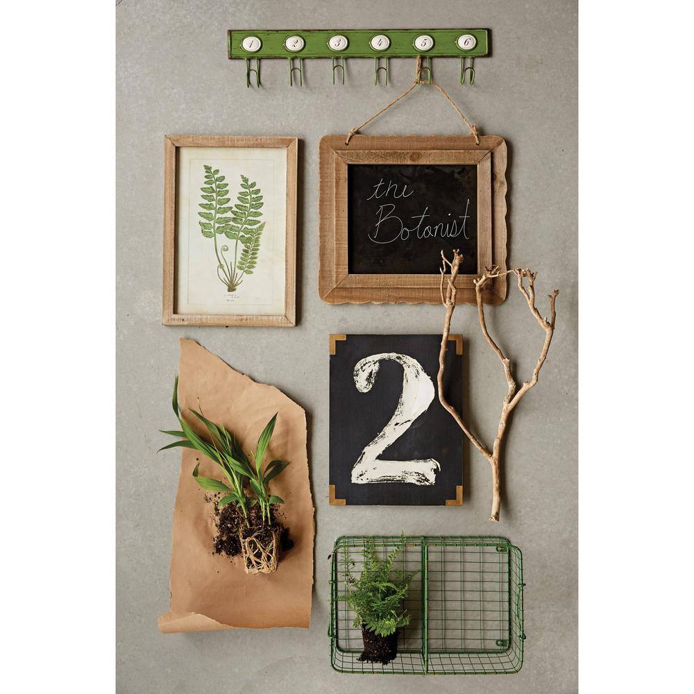 Natural Wood Framed Fern Print Wall Art Set of 6