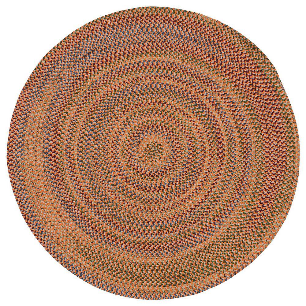 Worley Orange 5 ft. Round Indoor Area Rug