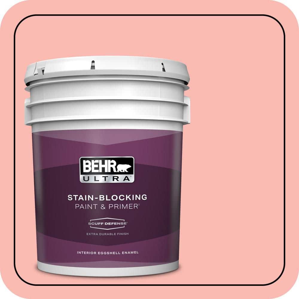 5 gal. #150A-3 Mixed Fruit Extra Durable Eggshell Enamel Interior Paint & Primer price history on PriceWatchPro