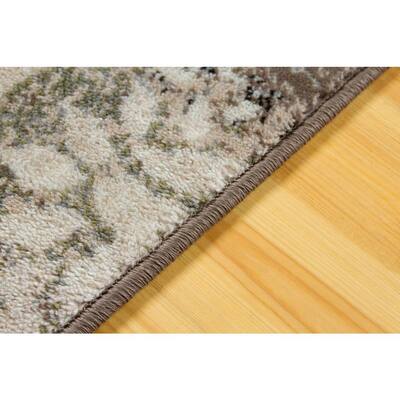 Chrissy Brown Distressed 5 ft. x 7 ft. Area Rug