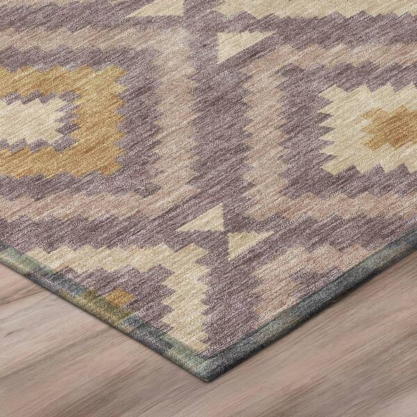 Chantille Machine Washable Indoor/Outdoor Abstract ACN3140 Plum 3 ft. x 4 ft. Area Rug