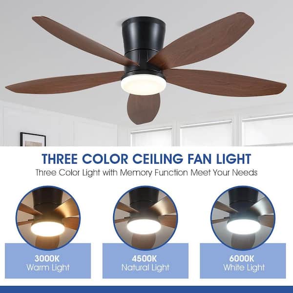 48 in. Indoor/Outdoor Flush Mount Black Ceiling Fan with Dimmable 3 Color LED Light and Remote/APP Control