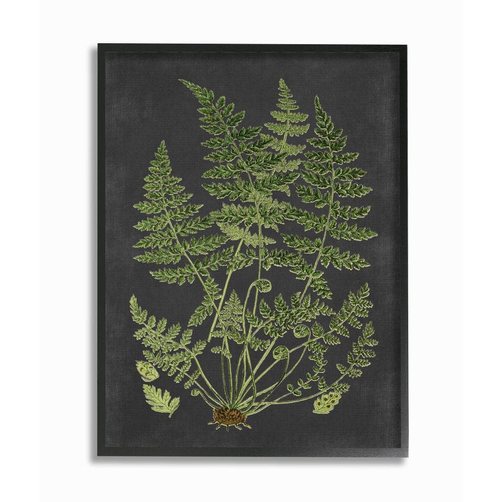 Botanical Green and Black Canvas Print with Ebony Frame