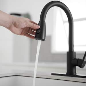 Single Handle Pull Down Sprayer Kitchen Faucet Commercial Kitchen Sink Faucets for RV, Laundry, Bar in Black