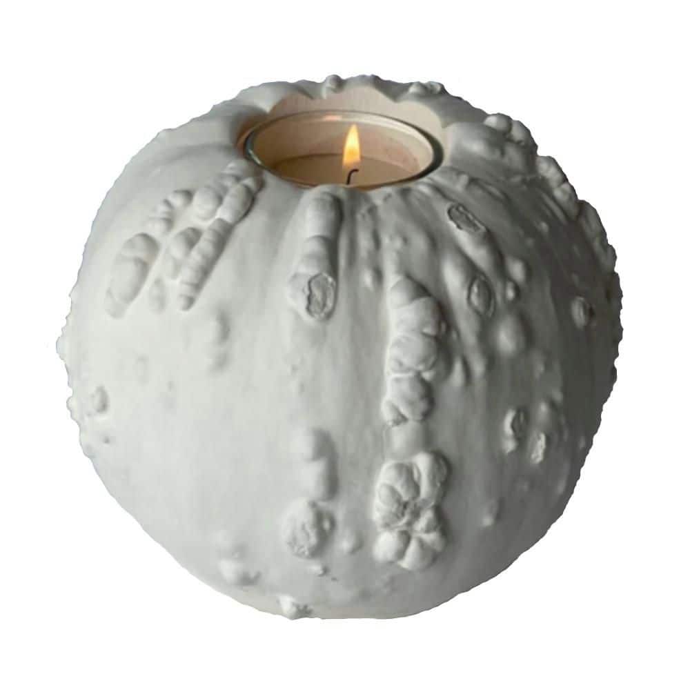 Studio White Gypsum 6 in. Dia x 5 in. H Gourd #5 Votive Candleholder Home D