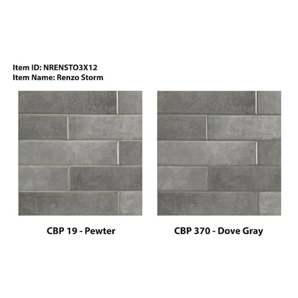 MSI Take Home Sample - Lakeview Storm 3 in. x 12 in. Glossy