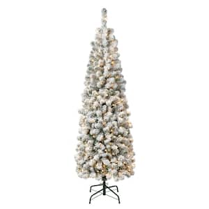 First Traditions 6 ft. Acacia Pencil Slim Flocked Artificial Christmas Tree with Clear Lights