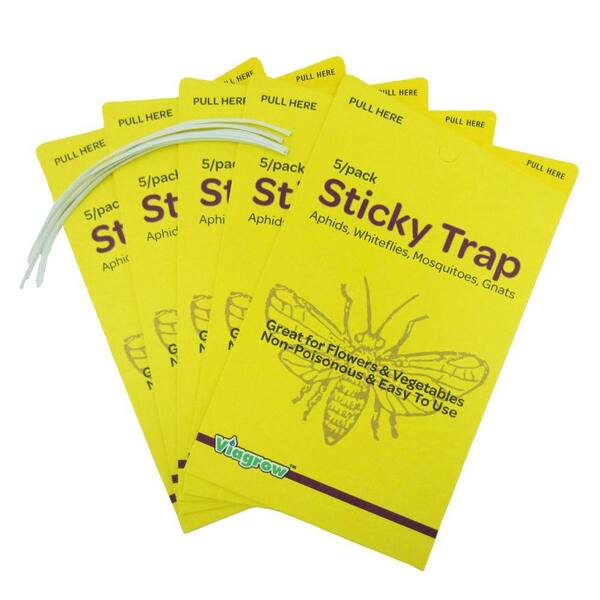 Viagrow Dual Sided Yellow Sticky Traps For Flying Plant Insects 5 Pack 25 Traps Vsft5 5 The Home Depot