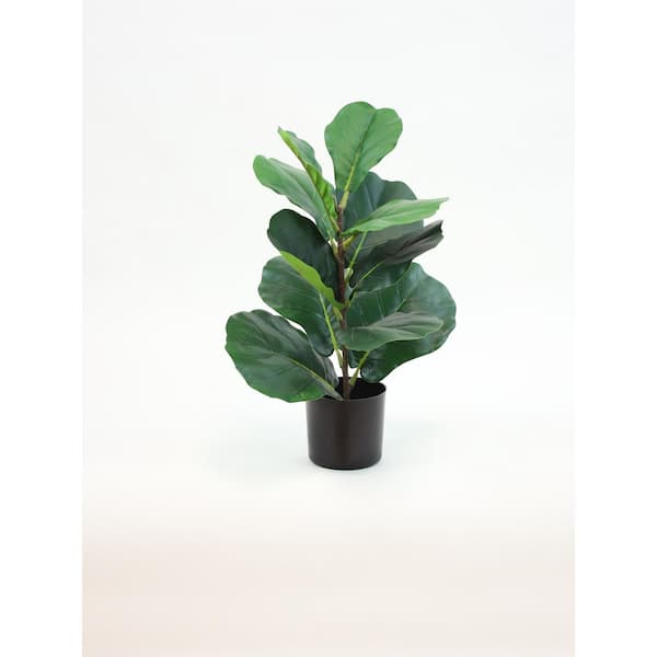 Unbranded 22 in. Green Artificial Fiddle Leaf Plant in Black Drop In Pot