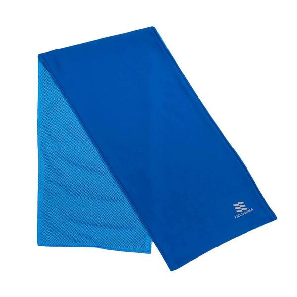 Blue 4 Packs Arctic Cool Cooling Towel Moisture Wicking Workout Towel 