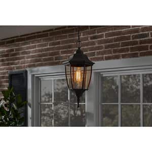 Kinglet 9-5/8 in. W 1-Light Black Outdoor Hanging Pendant with Clear Glass