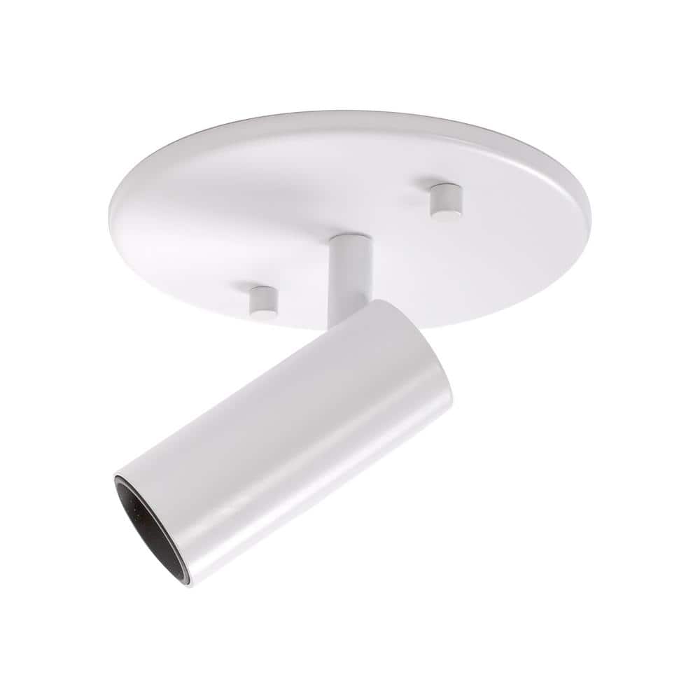 Monae Retro Black LED Orb Flush Mount Spotlight
