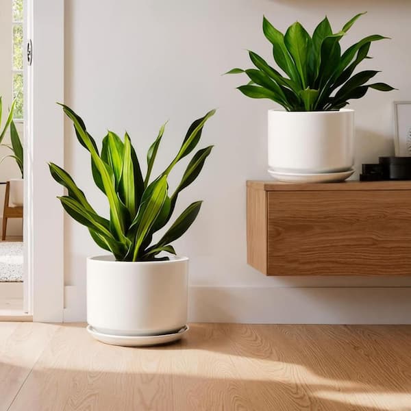 12/10 In Large White Ceramic Round Planter Set (2-Pack) L0CCRXKWHR