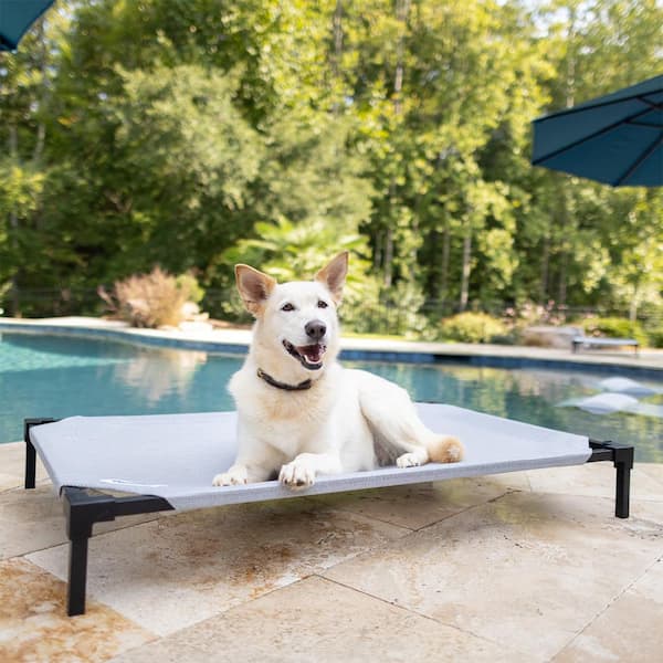 Coolaroo犬用ベッドMサイズ グレー Elevated dog bed 81qNFRuNbLL._UF894,1000_QL80_.jpg