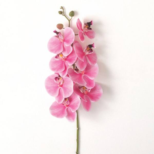 SULLIVANS 35 in. Pink Indoor Artificial Phalaenopsis Flower Spray