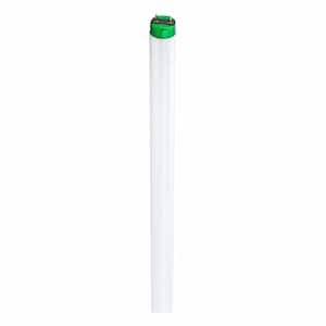 17-Watt 2 ft. Linear T8 Fluorescent Tube Light Bulb Daylight (6500K) Alto II (30-Pack)