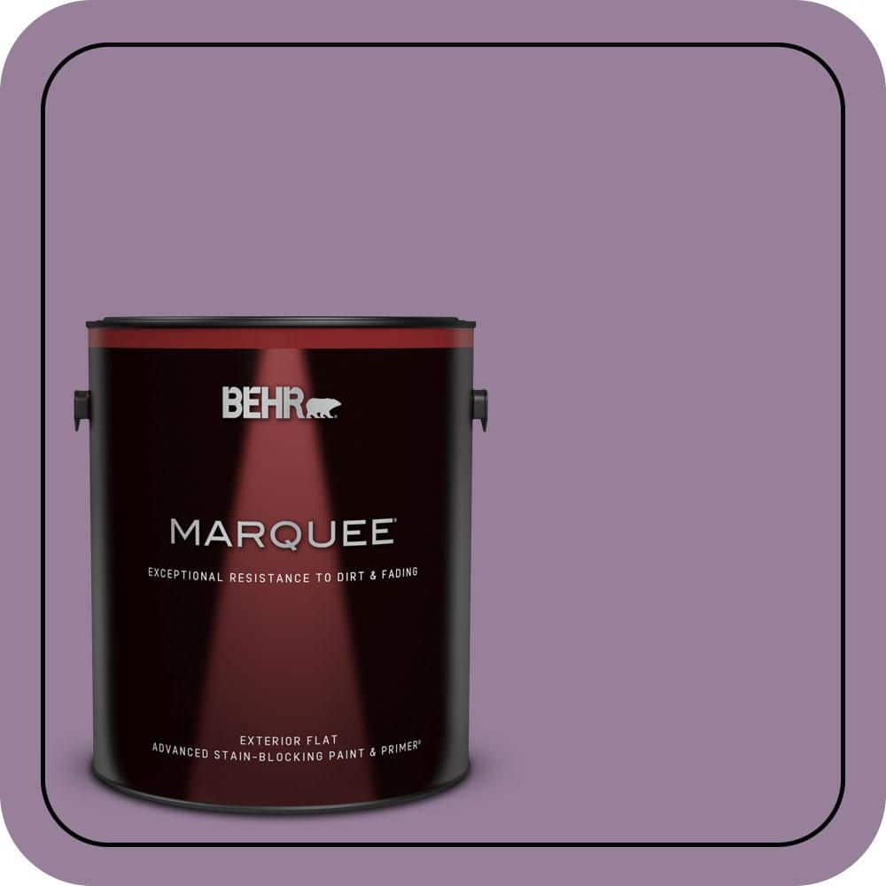 1 gal. #670D-6 Mixed Berries Flat Exterior Paint & Primer price history on PriceWatchPro