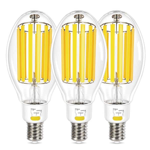 Generation Lighting 12-Volt Soft White (2700K) LED Frosted Festoon