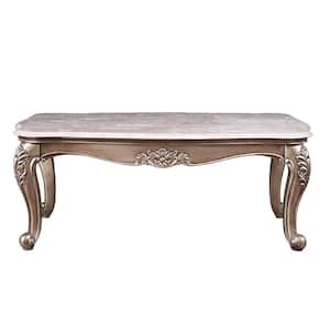 Jayceon 52 in. Marble Top and Champagne 20-Rectangle Marble Top Coffee Table 1-Piece