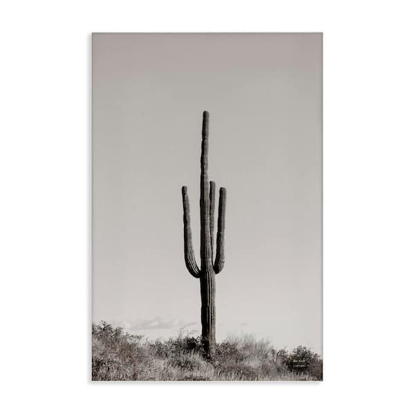 Stupell Industries Clear Afternoon Cactus by Nathan Larson Unframed Nature Graphic Art Print 30 in. x 20 in.