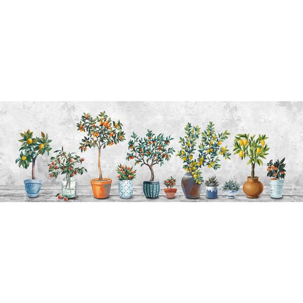 Unbranded "Fruits in the Pots" by Parvez Taj Unframed Canvas Nature Art Print 5 in. x 15 in.