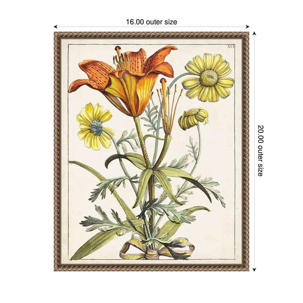 Dutch Florals V 16"x20" Bronze Framed Canvas Wall Art