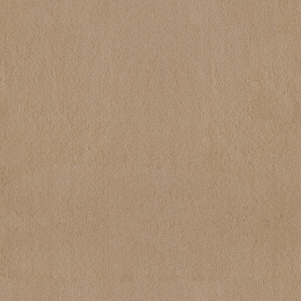 Dreamy Daze I Bamboo Beige 56 oz. Nylon Texture Carpet - Installation Required