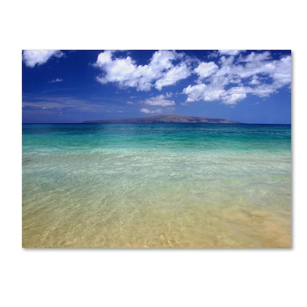 Trademark Fine Art 22 in. x 32 in. Hawaii Blue Beach Canvas Art