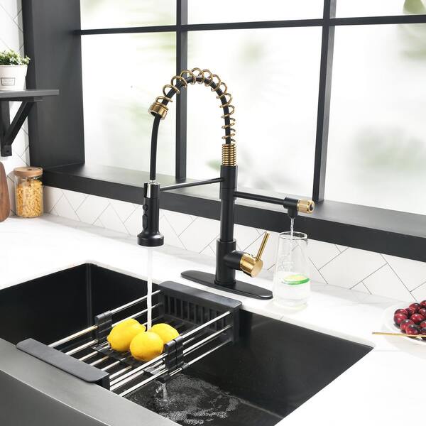 Eagleton Single-Handle Pull-Down Sprayer Kitchen Faucet with Water Filter  in Stainless Steel
