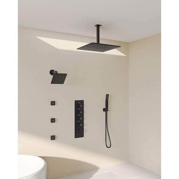SerenityFlow 15-Spray 16 & 6 in. Dual Ceiling Mount Fixed and Handheld Shower Head 2.5GPM in Matte Black