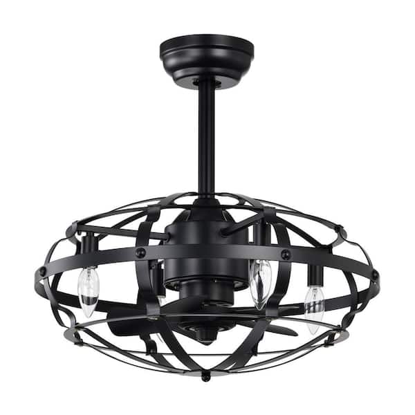 Light Pro 20.63 in. Indoor Black Finish Remote Controlled Fandelier with Light